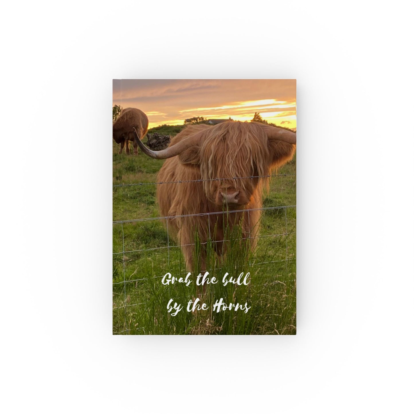 Grab The Bull By The Horns Hard Backed Notebook