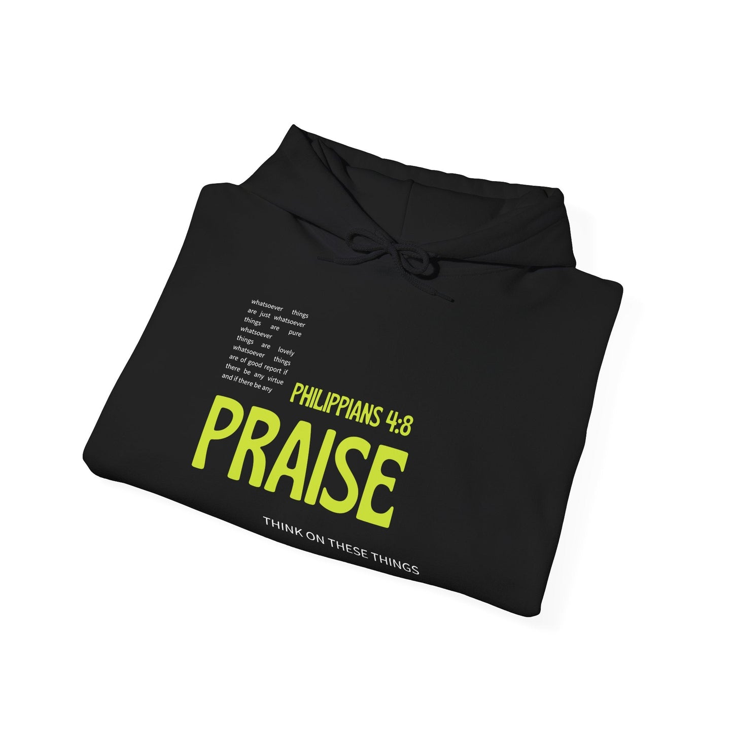 Philippians 4:8 Whatever is Praiseworthy Hoodie