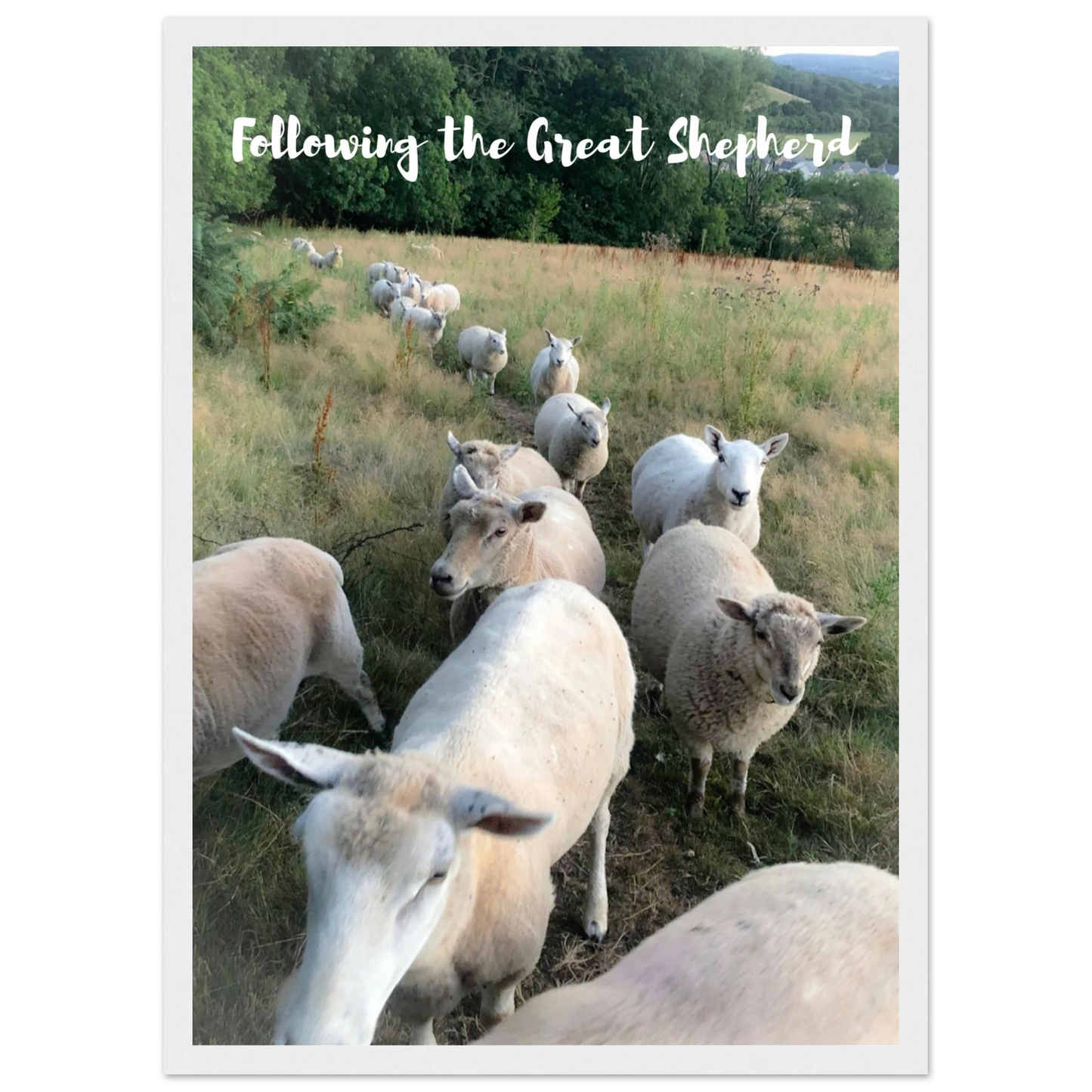 107087b6-5e8c-4140-905e-a4a257ea8f61