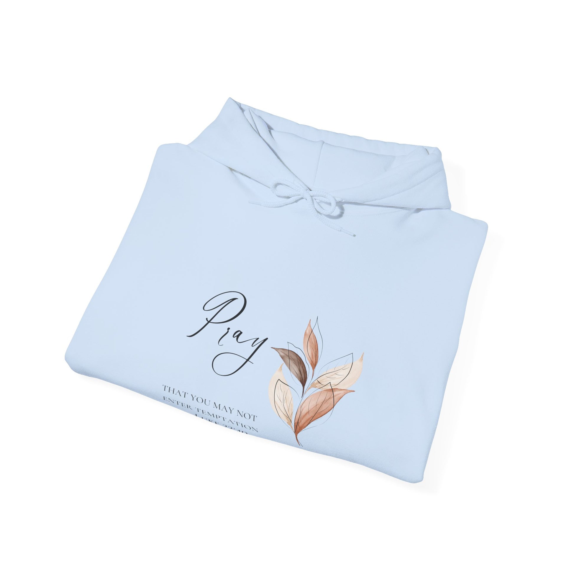 Pale Blue Pray Hoodie - MountZionGifts