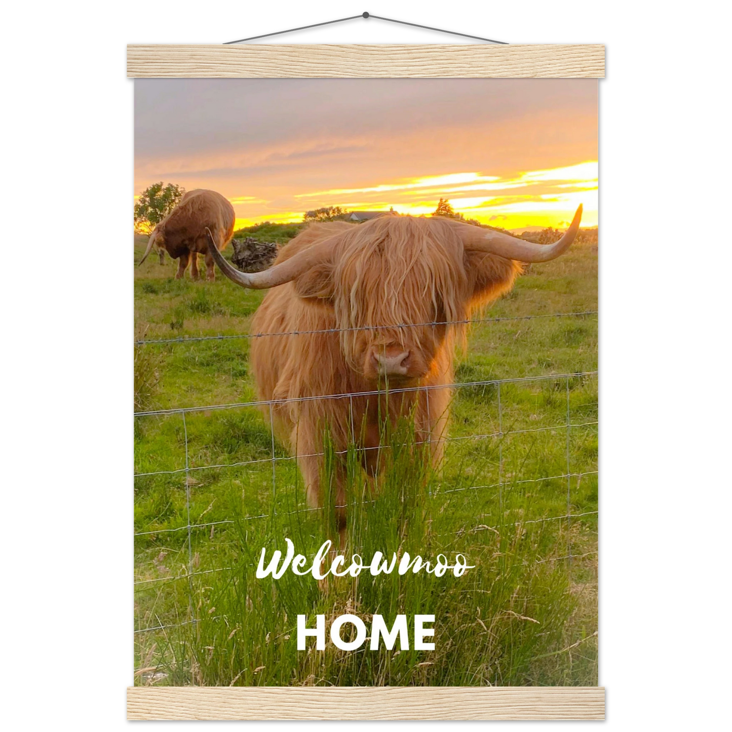 5a306695-ce26-4625-a330-0c1af49b4505