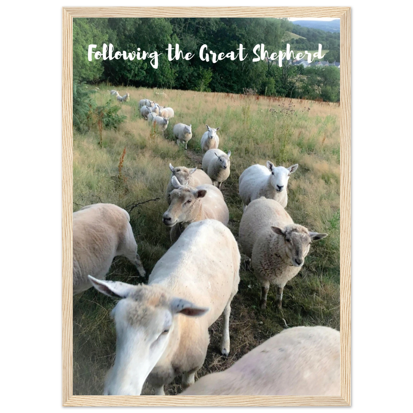 60e77e8a-de07-407d-a066-6a6f357b2a07