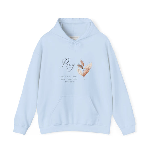 Pale Blue Pray Hoodie - MountZionGifts
