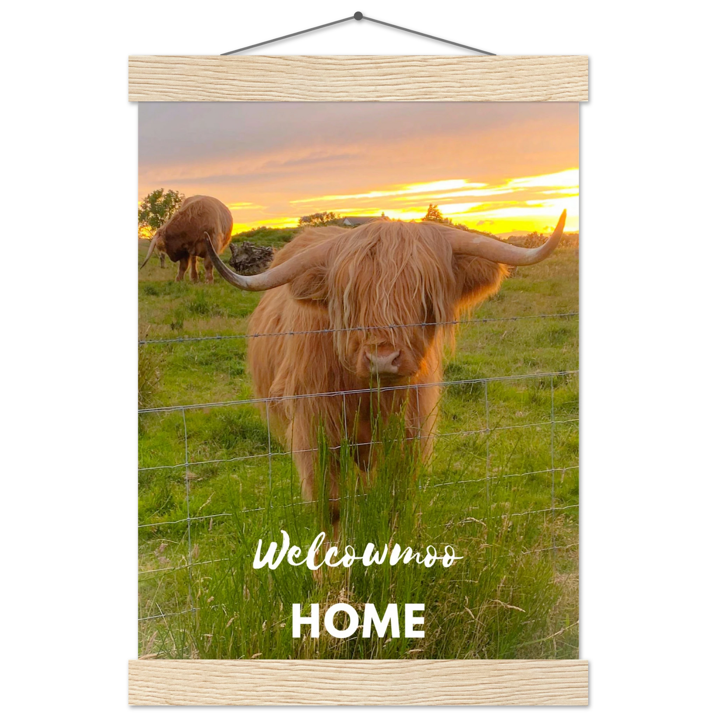 79ac5447-3bb3-460d-afa3-540441717519