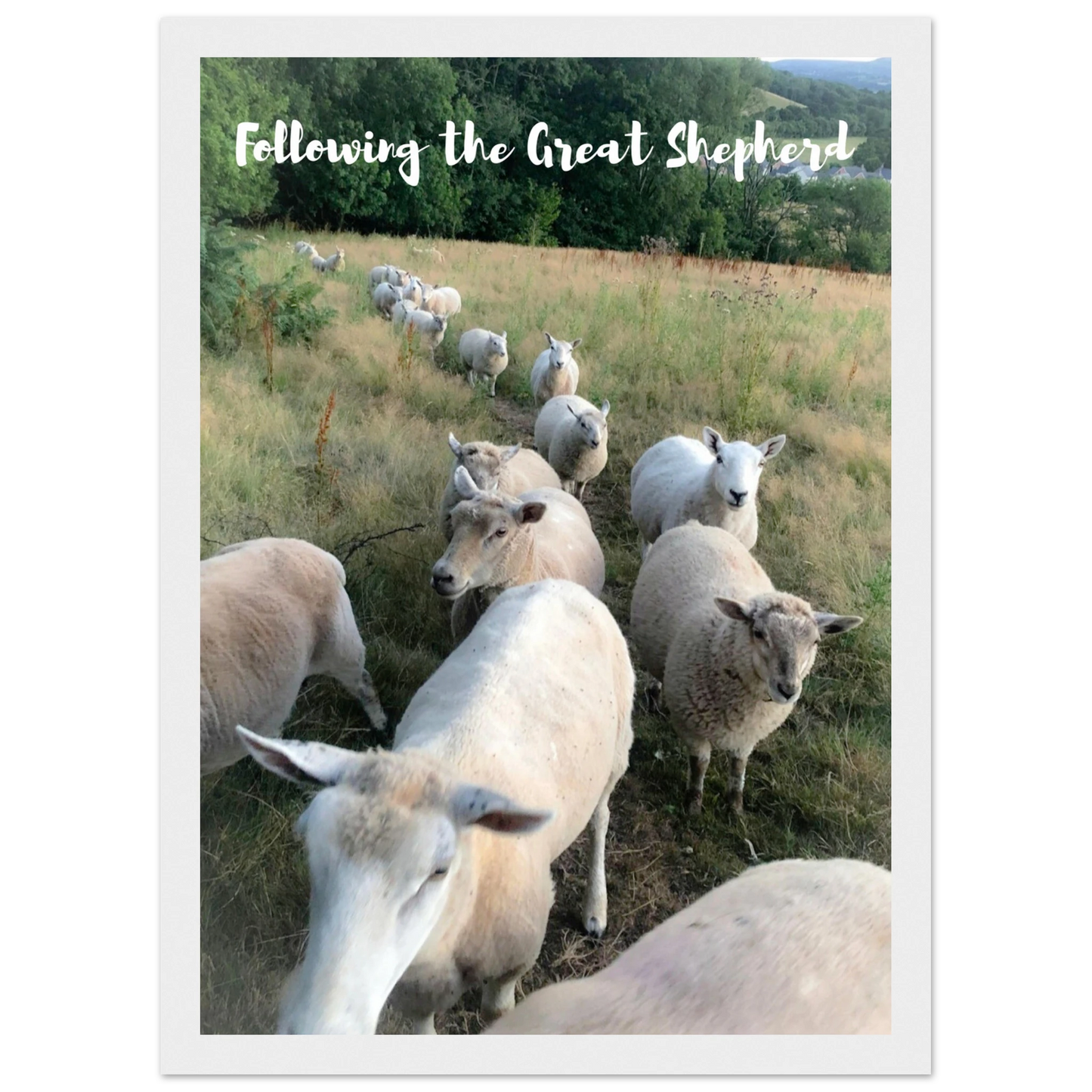 7d978092-e790-4ee5-96f2-758e933192e3