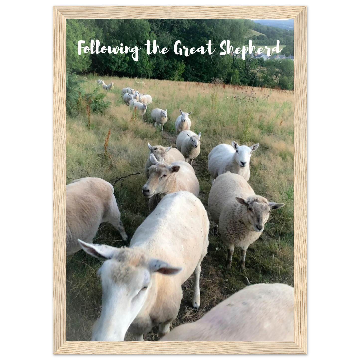 8aec964c-6476-4c4e-905e-3b3136d0180c