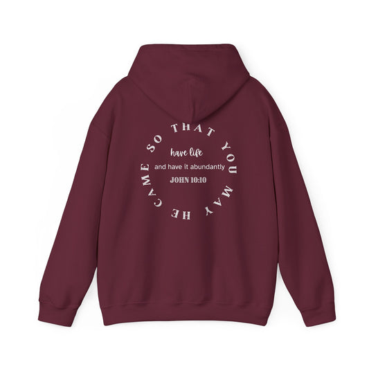 John 10:10 Life in abundance Mens Hoodie